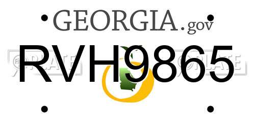 RVH9865 Georgia License Plate