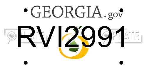 RVI2991 Georgia License Plate