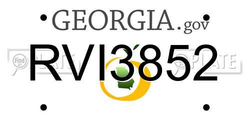 RVI3852 Georgia License Plate