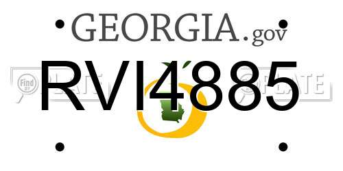 RVI4885 Georgia License Plate