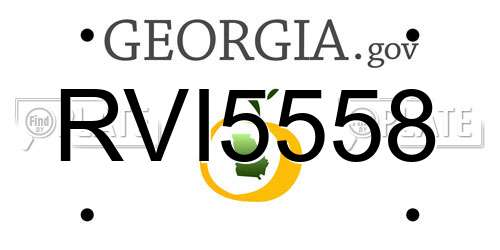 RVI5558 Georgia License Plate