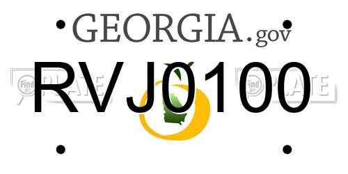RVJ0100 Georgia License Plate