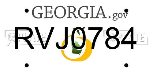 RVJ0784 Georgia License Plate