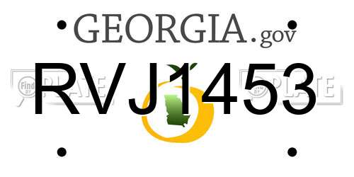 RVJ1453 Georgia License Plate