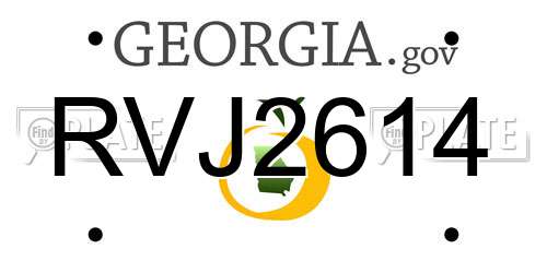RVJ2614 Georgia License Plate