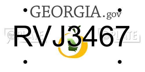 RVJ3467 Georgia License Plate