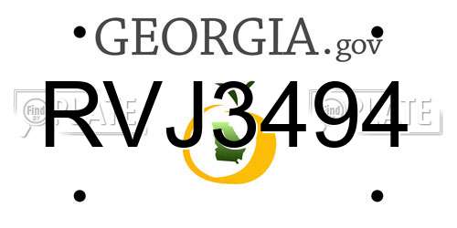 RVJ3494 Georgia License Plate