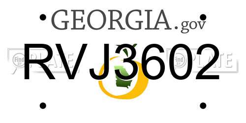 RVJ3602 Georgia License Plate