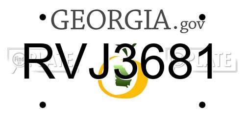 RVJ3681 Georgia License Plate