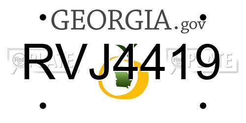 RVJ4419 Georgia License Plate