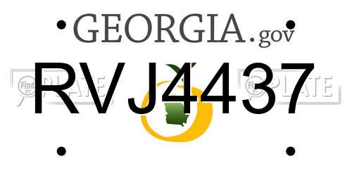 RVJ4437 Georgia License Plate