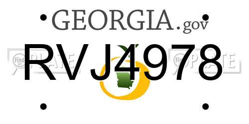 RVJ4978 Georgia License Plate