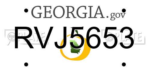 RVJ5653 Georgia License Plate
