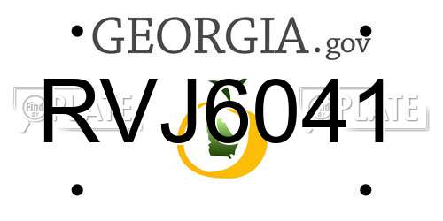 RVJ6041 Georgia License Plate