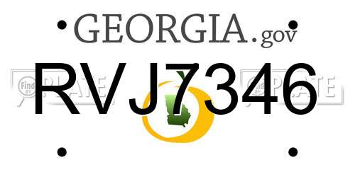 RVJ7346 Georgia License Plate