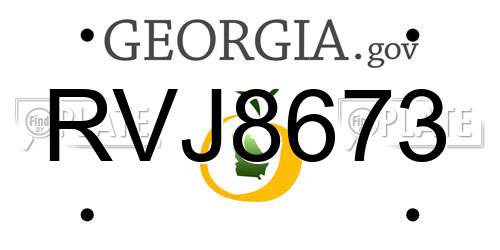 RVJ8673 Georgia License Plate