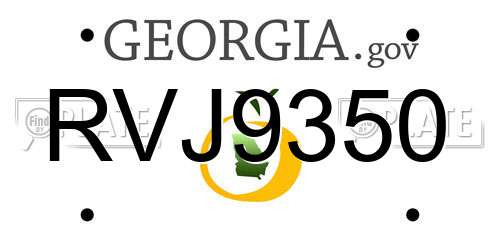 RVJ9350 Georgia License Plate