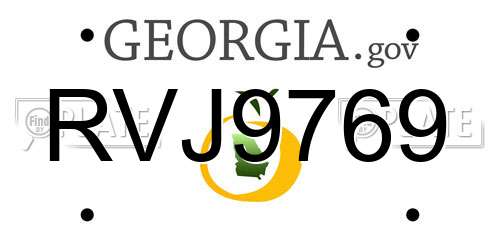 RVJ9769 Georgia License Plate