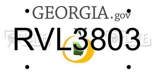 RVL3803 Georgia License Plate