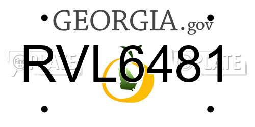 RVL6481 Georgia License Plate