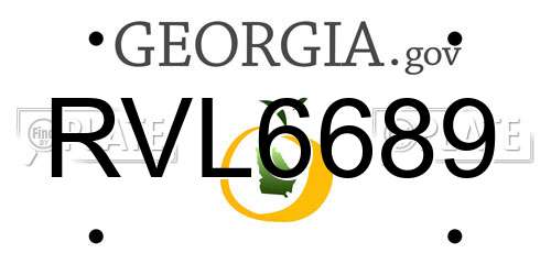 RVL6689 Georgia License Plate