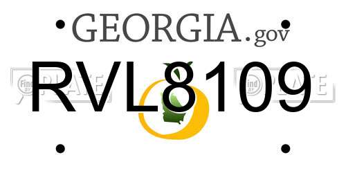 RVL8109 Georgia License Plate