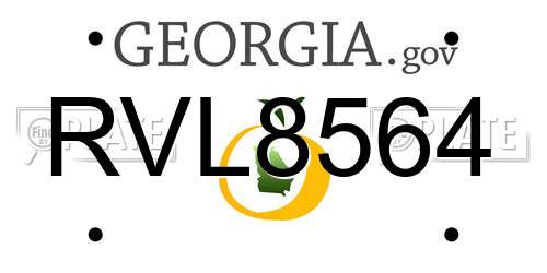 RVL8564 Georgia License Plate
