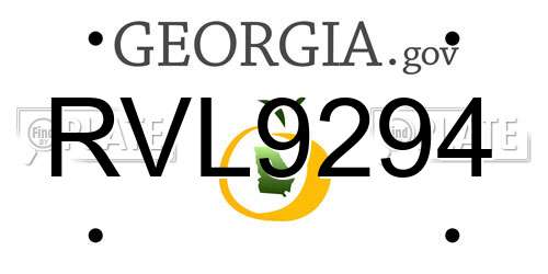 RVL9294 Georgia License Plate