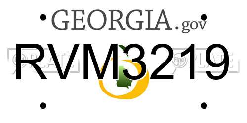 RVM3219 Georgia License Plate