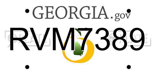 RVM7389 Georgia License Plate