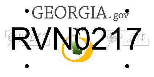 RVN0217 Georgia License Plate