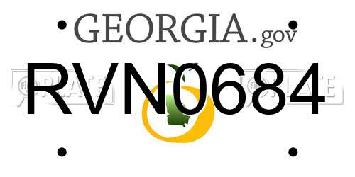 RVN0684 Georgia License Plate