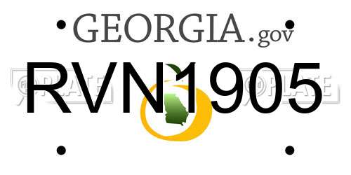 RVN1905 Georgia License Plate