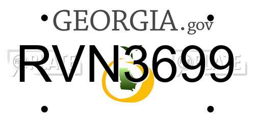 RVN3699 Georgia License Plate