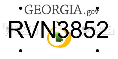 RVN3852 Georgia License Plate