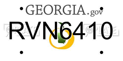 RVN6410 Georgia License Plate