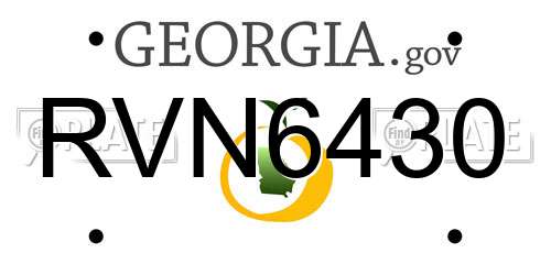RVN6430 Georgia License Plate
