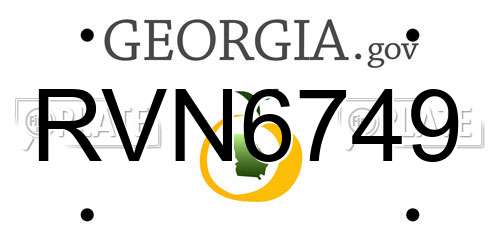 RVN6749 Georgia License Plate