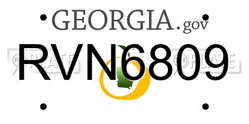 RVN6809 Georgia License Plate