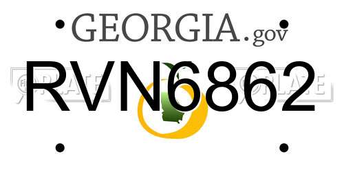 RVN6862 Georgia License Plate