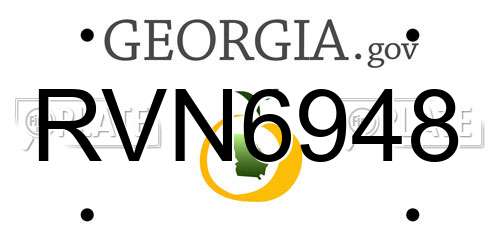 RVN6948 Georgia License Plate