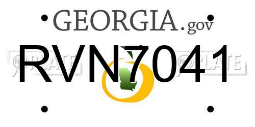 RVN7041 Georgia License Plate