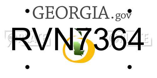RVN7364 Georgia License Plate