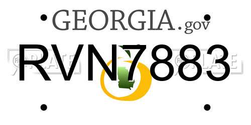 RVN7883 Georgia License Plate
