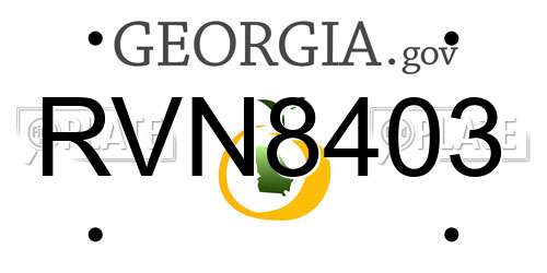RVN8403 Georgia License Plate