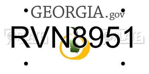 RVN8951 Georgia License Plate