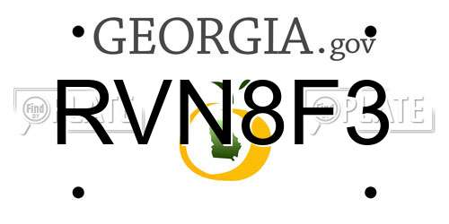 RVN8F3 Georgia License Plate