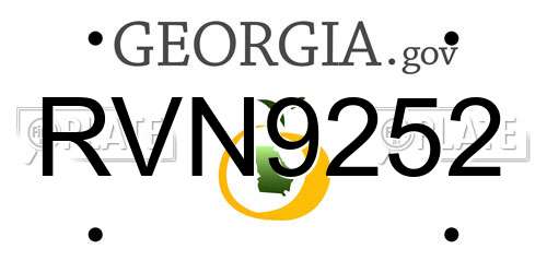RVN9252 Georgia License Plate