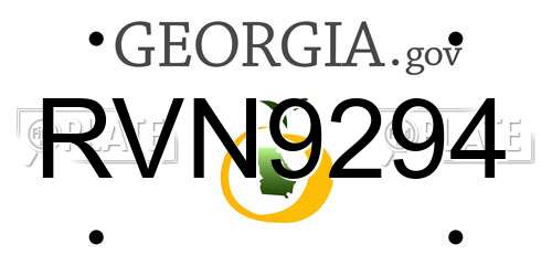 RVN9294 Georgia License Plate