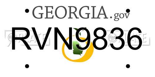 RVN9836 Georgia License Plate